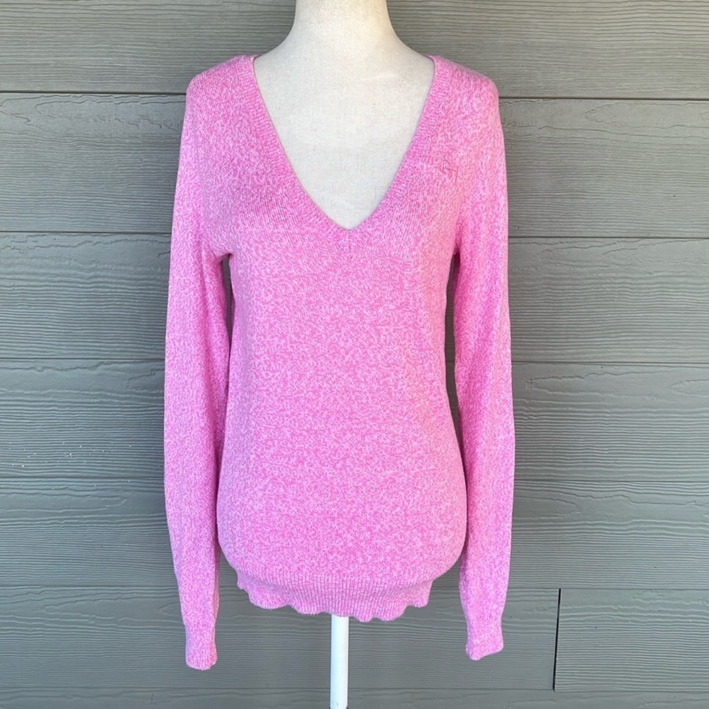Gilly Hicks V-Neck Sweater